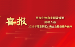 喜報(bào) | 西寶生物“可拉酸”項(xiàng)目成功入圍2025年浦東新區(qū)小微企業(yè)提升能級(jí)項(xiàng)目，喜獲專項(xiàng)支持