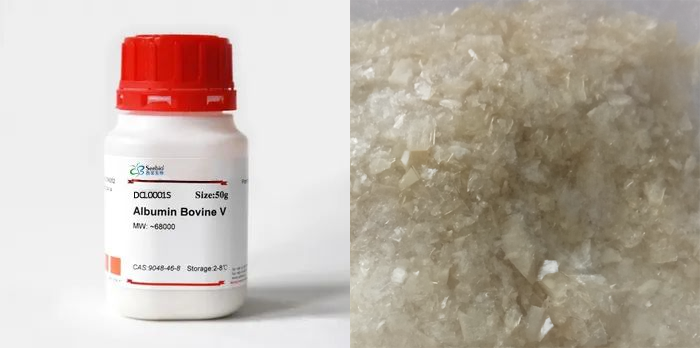 牛血清白蛋白，BSA，第五組分