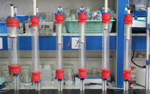 層析介質(zhì)在疫苗純化中的應用