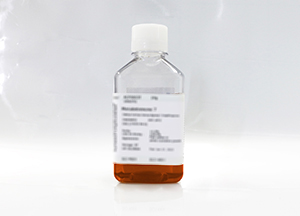 優(yōu)級(jí)胎牛血清