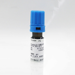 BsaI限制性內(nèi)切酶